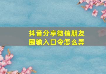 抖音分享微信朋友圈输入口令怎么弄