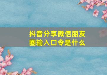 抖音分享微信朋友圈输入口令是什么