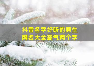 抖音名字好听的男生网名大全霸气两个字