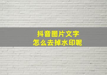 抖音图片文字怎么去掉水印呢