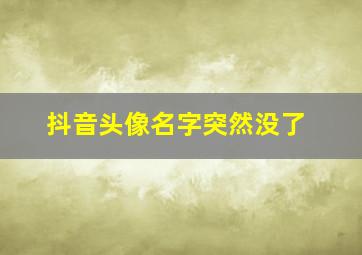 抖音头像名字突然没了