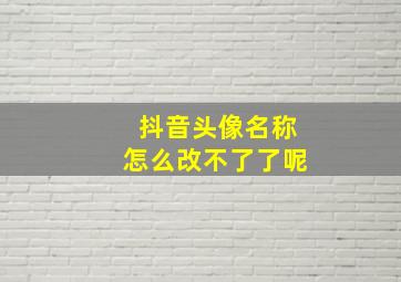 抖音头像名称怎么改不了了呢