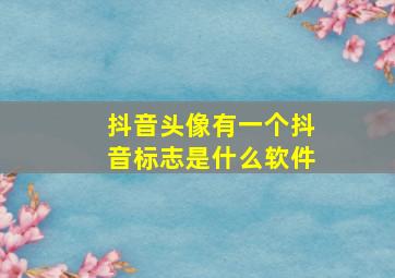 抖音头像有一个抖音标志是什么软件