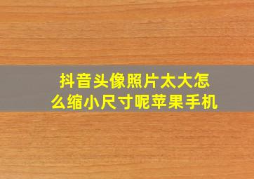 抖音头像照片太大怎么缩小尺寸呢苹果手机