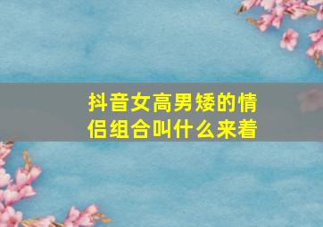 抖音女高男矮的情侣组合叫什么来着