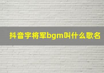 抖音宇将军bgm叫什么歌名