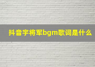 抖音宇将军bgm歌词是什么