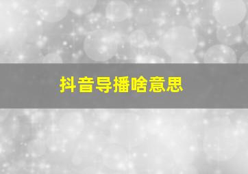 抖音导播啥意思