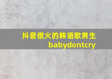 抖音很火的韩语歌男生babydontcry