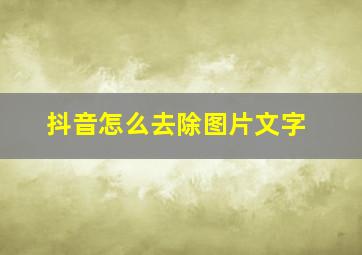 抖音怎么去除图片文字