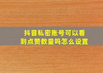 抖音私密账号可以看到点赞数量吗怎么设置