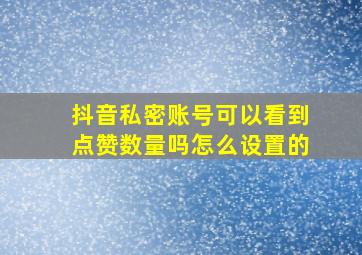 抖音私密账号可以看到点赞数量吗怎么设置的