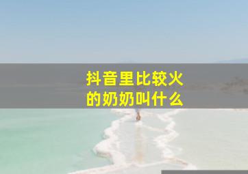 抖音里比较火的奶奶叫什么