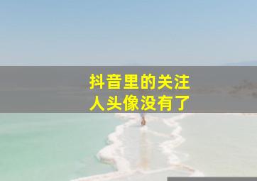 抖音里的关注人头像没有了