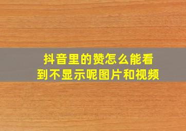 抖音里的赞怎么能看到不显示呢图片和视频