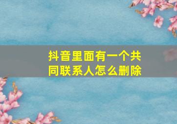 抖音里面有一个共同联系人怎么删除