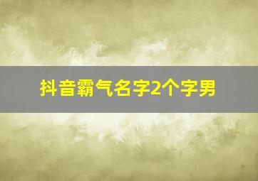 抖音霸气名字2个字男