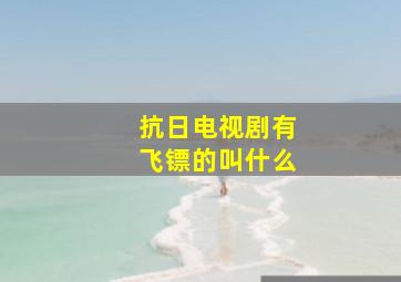 抗日电视剧有飞镖的叫什么