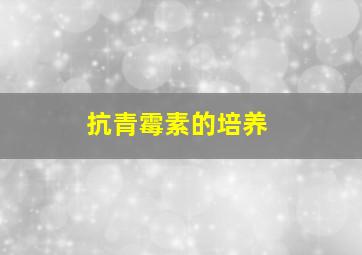 抗青霉素的培养