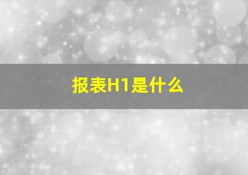 报表H1是什么