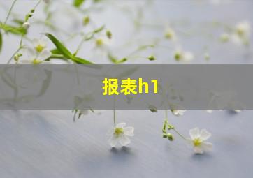 报表h1