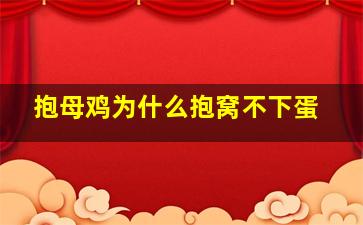 抱母鸡为什么抱窝不下蛋