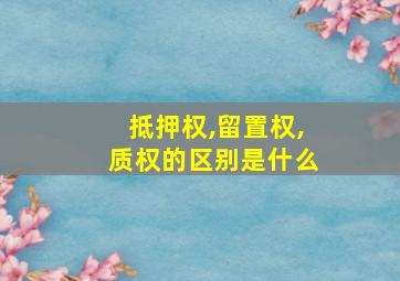 抵押权,留置权,质权的区别是什么