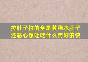 拉肚子拉的全是黄稀水肚子还恶心想吐吃什么药好的快