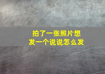 拍了一张照片想发一个说说怎么发