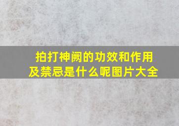 拍打神阙的功效和作用及禁忌是什么呢图片大全