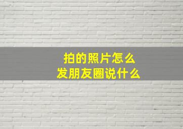 拍的照片怎么发朋友圈说什么