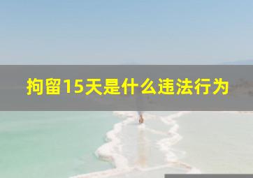 拘留15天是什么违法行为