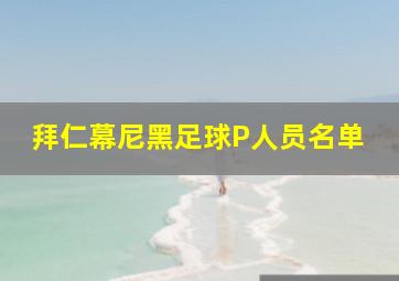 拜仁幕尼黑足球P人员名单