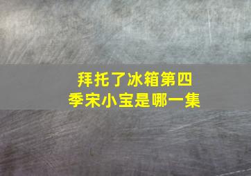 拜托了冰箱第四季宋小宝是哪一集