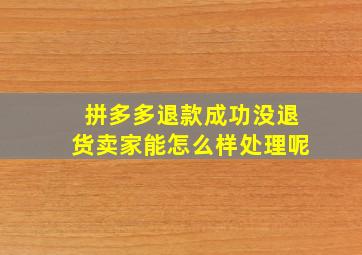 拼多多退款成功没退货卖家能怎么样处理呢