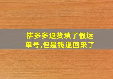 拼多多退货填了假运单号,但是钱退回来了