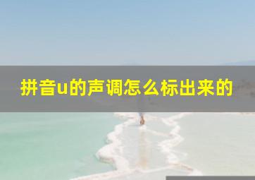 拼音u的声调怎么标出来的