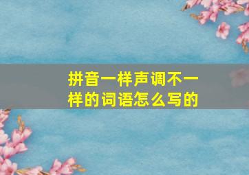 拼音一样声调不一样的词语怎么写的