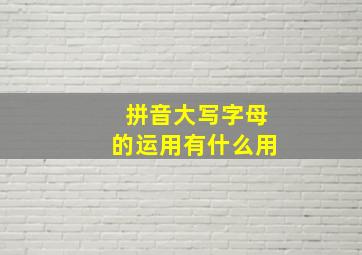 拼音大写字母的运用有什么用