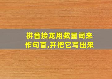 拼音接龙用数量词来作句首,并把它写出来