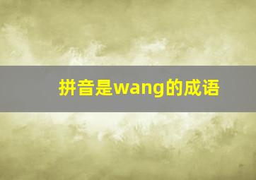 拼音是wang的成语