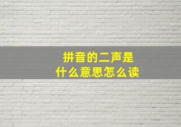 拼音的二声是什么意思怎么读