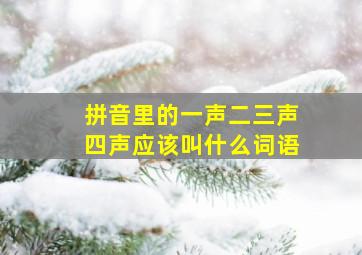 拼音里的一声二三声四声应该叫什么词语