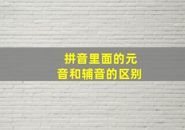 拼音里面的元音和辅音的区别