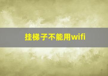 挂梯子不能用wifi