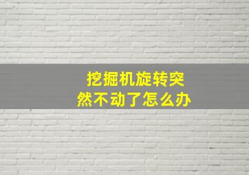 挖掘机旋转突然不动了怎么办