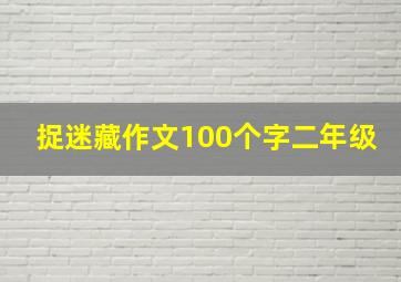 捉迷藏作文100个字二年级