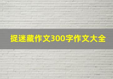 捉迷藏作文300字作文大全