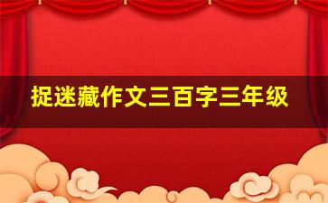 捉迷藏作文三百字三年级