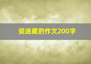 捉迷藏的作文200字